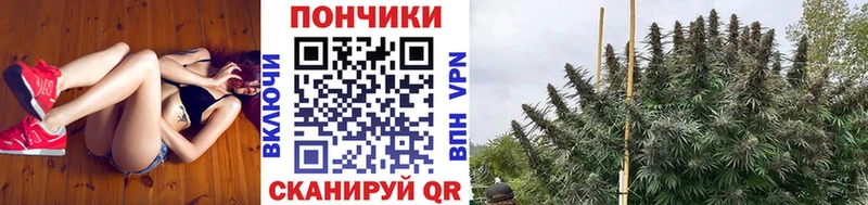 Марихуана гибрид  Купить  Райчихинск 